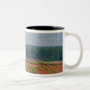 Buscar edward tazas Faro