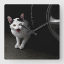 Buscar bigote relojes de pared Gatito