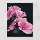 Buscar te quiero madre postales Floral
