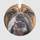 Buscar bulldog adornos Amante de los perros