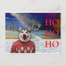 Buscar humor navidad postales Navidades