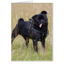 Buscar carlin postales Colocación