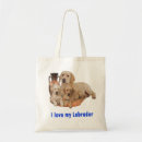 Buscar labradores retrieveres bolsos Lindo