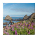 Buscar colinas azulejos California