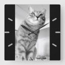 Buscar gatito gris decoracion Adorable