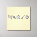 Buscar marismas lienzos Conchas