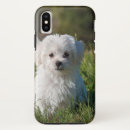 Buscar perrito blanco iphone fundas Animal