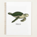 Buscar tortuga agendas Verde