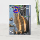 Buscar gatos gordos tarjetas 9 º gata