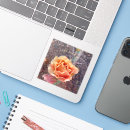 Buscar sonoras pegatinas Arizona