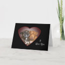 Buscar staffy tarjetas Staffie