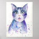 Buscar gato sorprendido posters Gatito