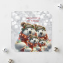 Buscar familia del oso polar postales Blanco