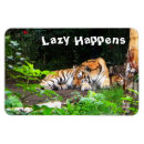 Buscar tiger imanes Animales