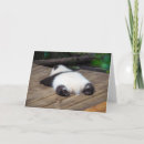 Buscar gigantes tarjetas Animal