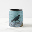 Buscar crow tazas Naturaleza