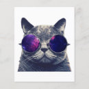 Buscar gato flyers Elegante