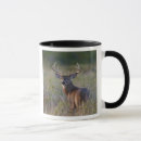 Buscar virginianus tazas Texas