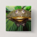 Buscar toro chapas Rana