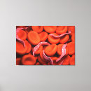 Buscar glóbulos rojos arte Ilustraciones biomédicos