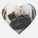 Buscar kawaii pug pegatinas Divertido