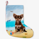 Buscar chihuahua calcetines navideños Animal