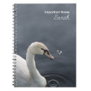 Buscar cisne mudo fotografía Vida silvestre