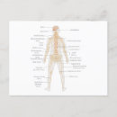 Buscar cuerpo humano postales Diagrama