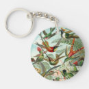 Buscar colibrí llaveros Ilustracion
