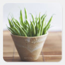 Buscar superficie pegatinas Fotografía