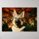 Buscar boca abierta posters Perro