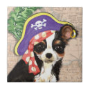 Buscar calavera azulejos Pirata