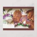 Buscar patines postales Para todos