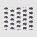 Buscar escarabajo papel de seda 4 º bicho