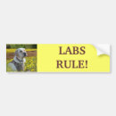 Buscar laboratorios pegatinas parachoque Perrito