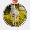 Buscar establo del caballo adornos Establos