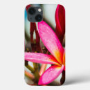 Buscar boda tropical iphone fundas Fondo