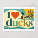 Buscar patos postales Aves