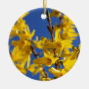 Buscar blüten Amarillo