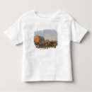 Buscar silo camisetas Rural