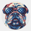 Buscar bulldog americano pegatinas Perro