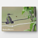 Buscar colibríes placas fotograbadas Aves