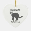 Buscar felis Gatito