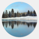 Buscar reflexiones pegatinas Árboles