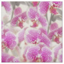 Buscar orquídeas telas Floral