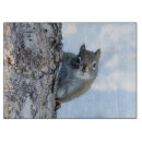 Buscar tronco tablas cortar Tronco de árbol