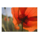 Buscar ciencias naturales posters Exterior