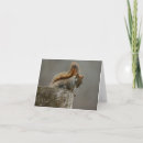 Buscar árbol de la vida tarjetas Gris