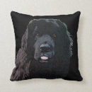 Buscar terranova cojines Newfie