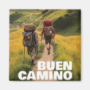 Buscar camino de santiago imanes España